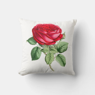 Coussin Rose rouge antique simple