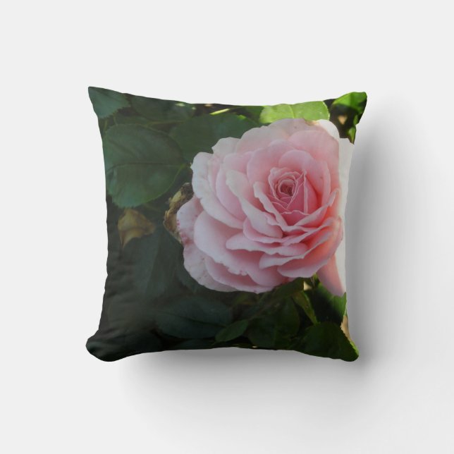 Coussin Roses roses douces (Recto)