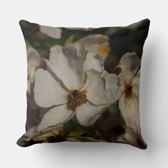 Coussin Rosier Grimpant (Recto)
