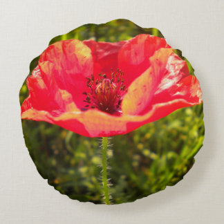Coussin rouge de pavot de champ