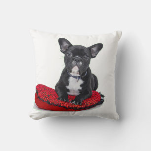 coussin roux