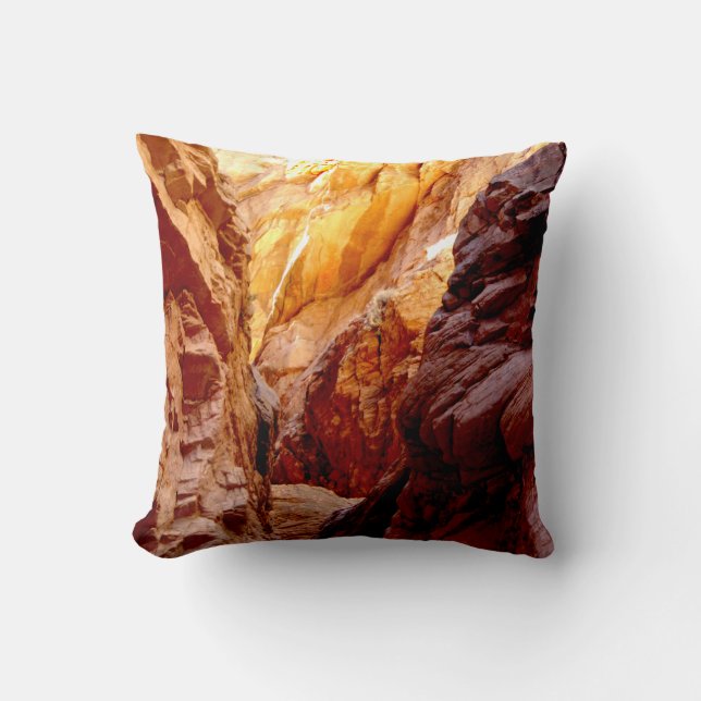 Coussin rustique de carré du Nevada de canyon de (Recto)