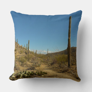 Coussin Saguaro's Carillo Trail in Saguaro National Park