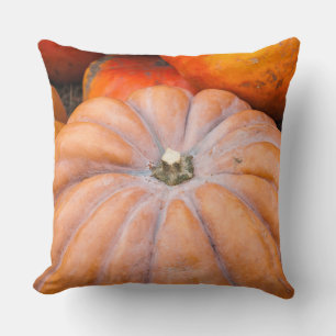 Coussin Saison citrouille
