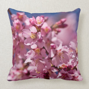 Coussin Sakura Cherry Blossoms embrassés par Sunlight