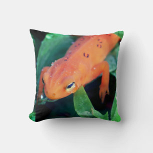 Coussin Salamandre Rouge À L'Oeil