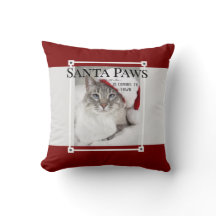 Santa Paws arrive à Noël