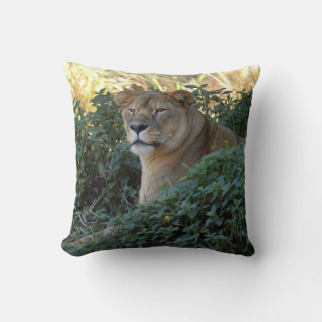 Coussin sarabi-set-1-003 (Recto)