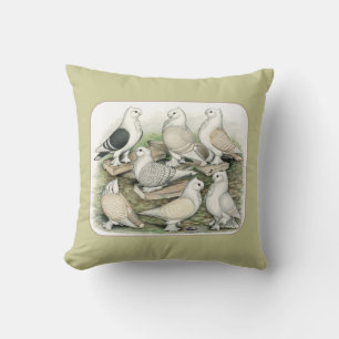 Coussin Satinettes de pigeons de frill classique