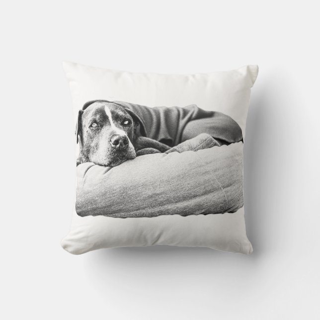 Coussin Sbois d'octobre (Recto)