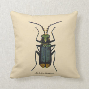 Coussin Scarabée vintage Rever. de malachite d'entomologi