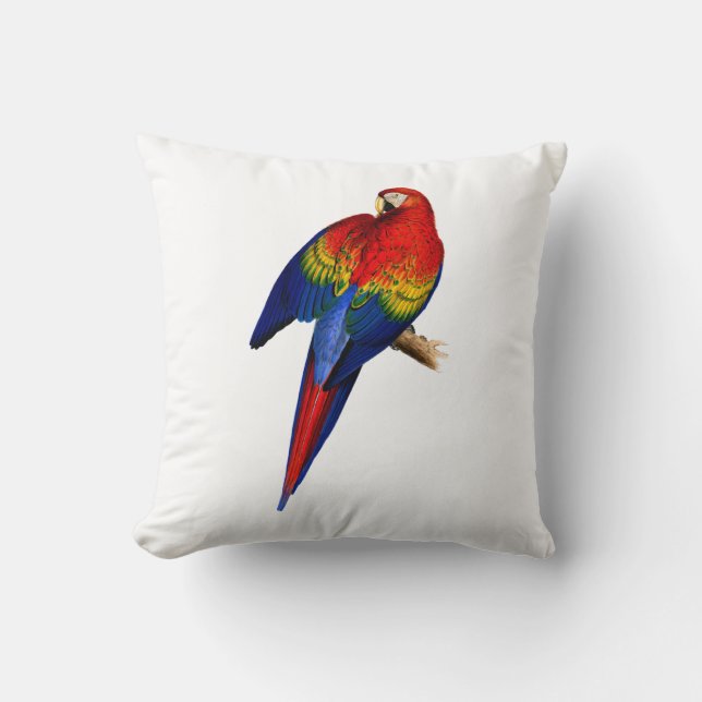 Coussin Scarlet Macaw Tropical Colorful Pluie Forêt Oiseau (Recto)