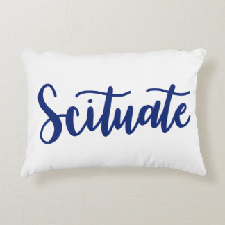 Coussin Scituuty Scripts