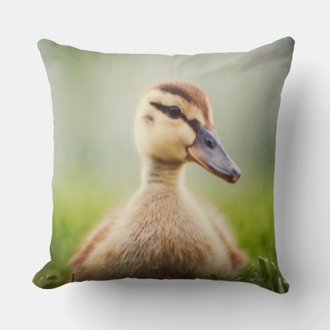 Coussin Se pencher de Mallard de bébé (Recto)