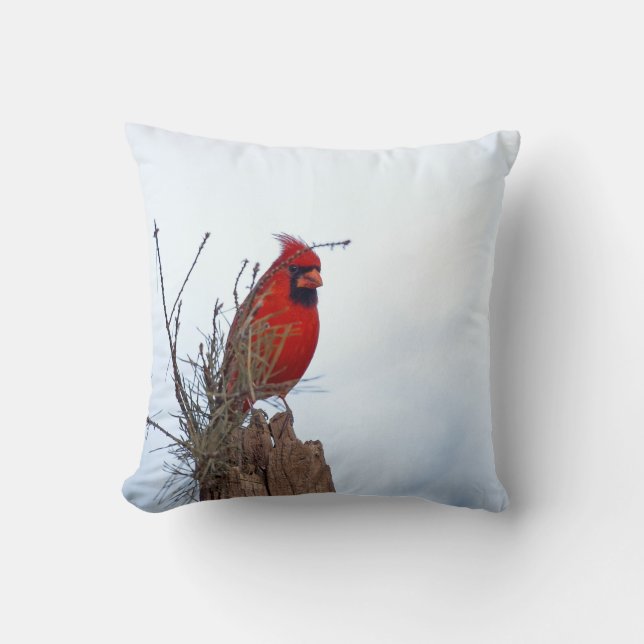 Coussin Séance cardinale du nord rouge sur un poteau en (Recto)