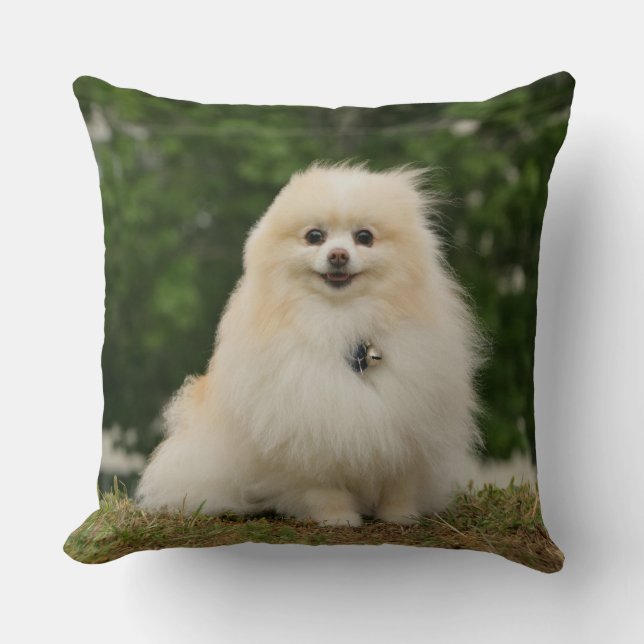 Coussin Séance de Pomeraning (Recto)