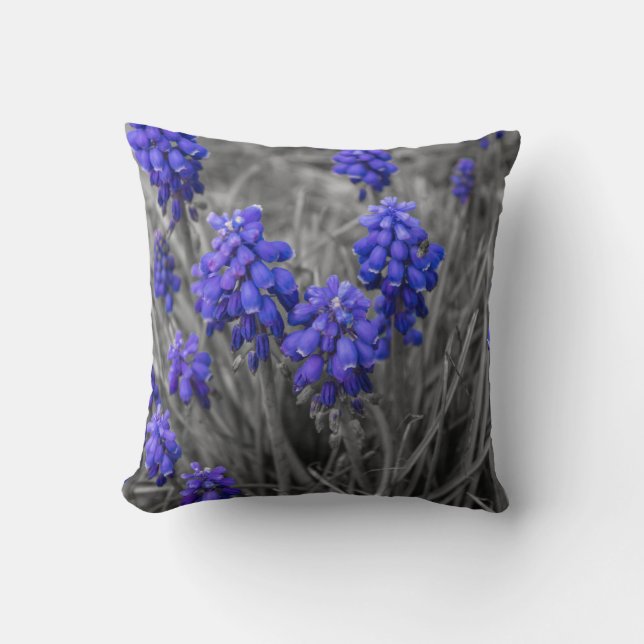 Coussin Sélection de la famille des Hyacinthes de raisins (Recto)