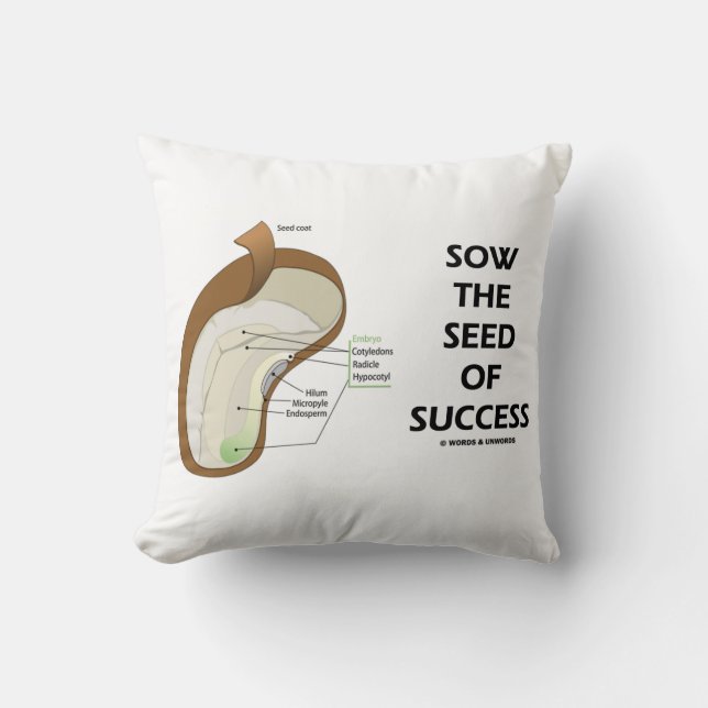 Coussin Semer Les Semences De Succès (Humour D'Anatomie De (Recto)