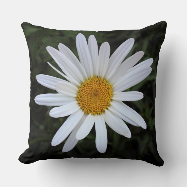 Coussin Shasta Daisy 03 (Recto)
