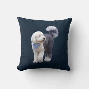 Coussin Sheepadoodle avec écharpe à carreaux bleus
