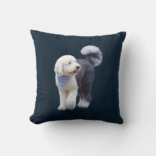 Coussin Sheepadoodle avec écharpe à carreaux bleus (Recto)