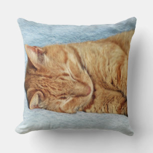 Coussin Sleepy Kitty