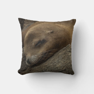 Coussin Sleepy Sea Lion - Sleeping Wildlife Photography