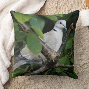 Coussin Songbird de colombe à collier eurasien sur cerisie