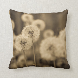 Coussin Souhaits