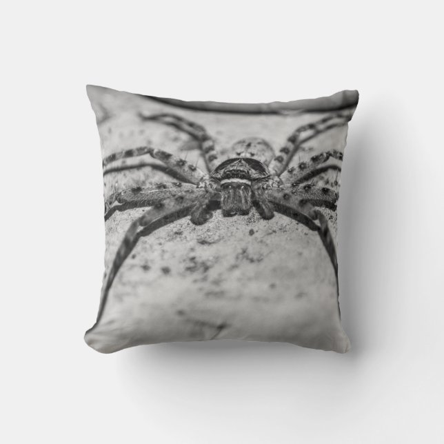 Coussin Spider Huntsman (Recto)
