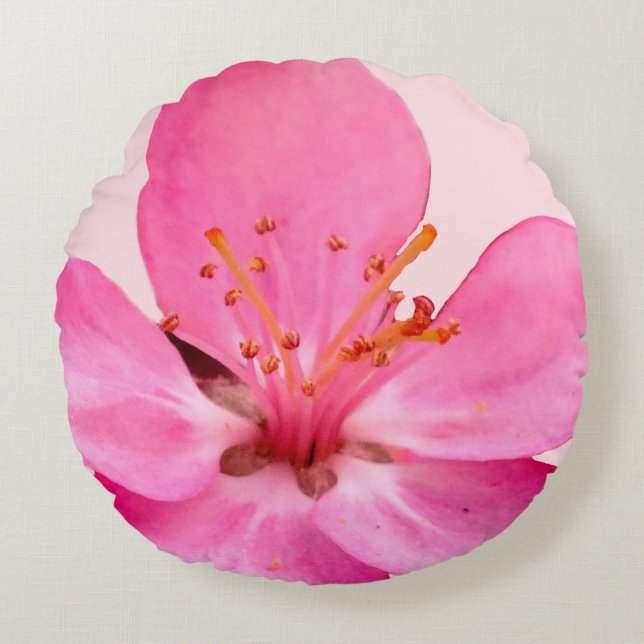 coussin Spring Blossom (Devant)