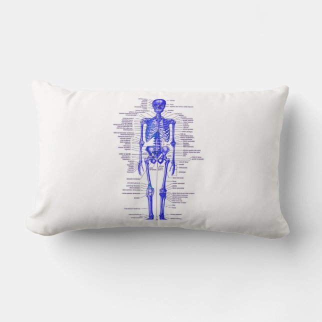 coussin squelettique (Recto)