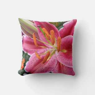 Coussin Stargazer