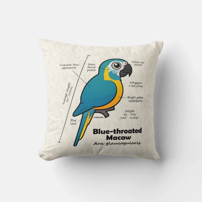 Coussin Statistiques de Macaw à gorge bleue (Recto)