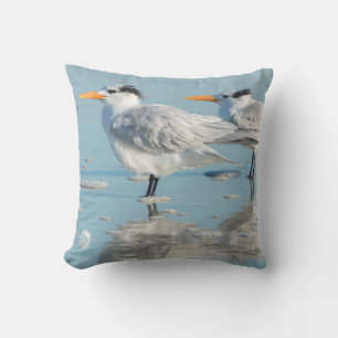 Coussin Sternes royales sur la plage