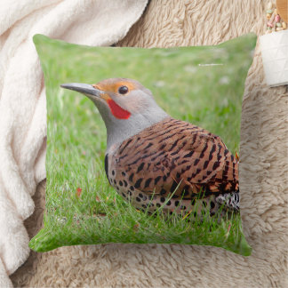 Coussin Stunning Northern Flicker Foraging in the Grass
