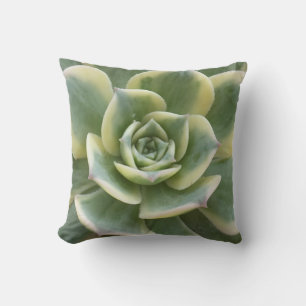 Coussin Succulent