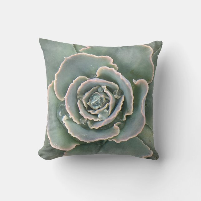 Coussin Succulent (Recto)