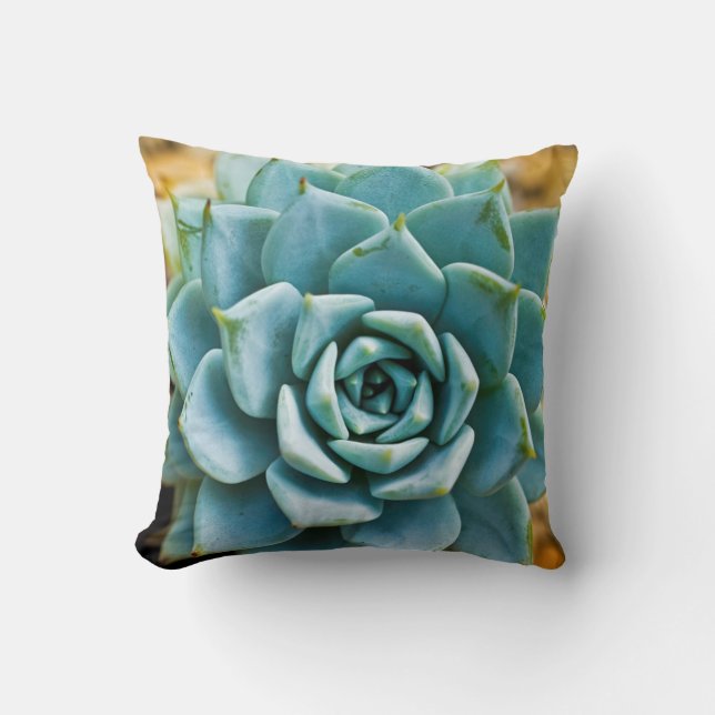 Coussin Succulent (Recto)