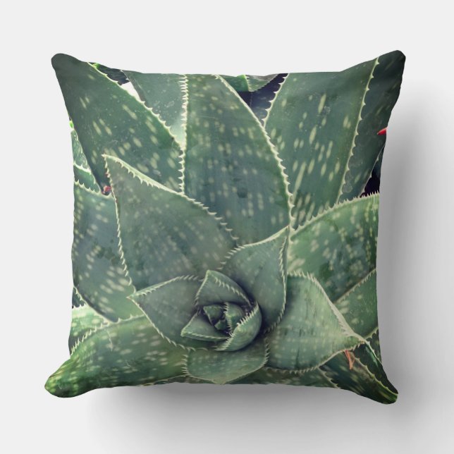 Coussin Succulent Aloe Plante Photographie (Recto)
