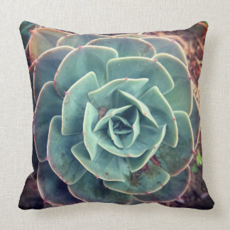 Coussin Succulent vert (couverture arrière noire)