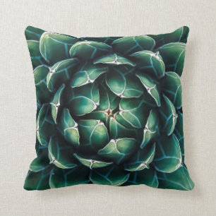 Coussin Succulent vert et blanc
