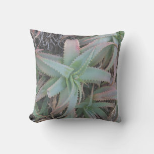 Coussin Succulentes du Nevada