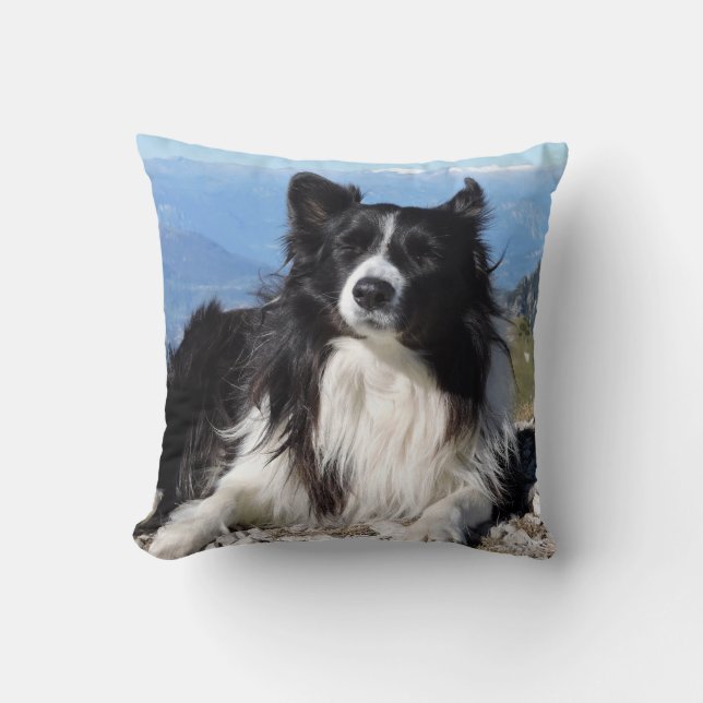 Coussin Superbe frontière Collie Chien noir blanc noir (Recto)