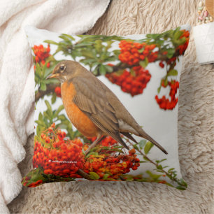 Coussin Superbe oiseau chanteur Robin Américain à Pyracant