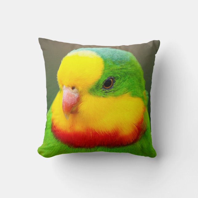 Coussin Superbe perroquet (Recto)
