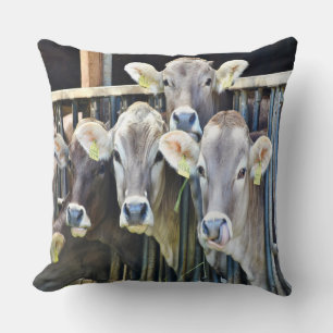 Coussin Sur Les Vaches De Ferme