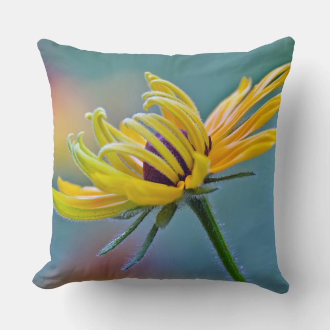 Coussin Susan Noir-eyed (Recto)