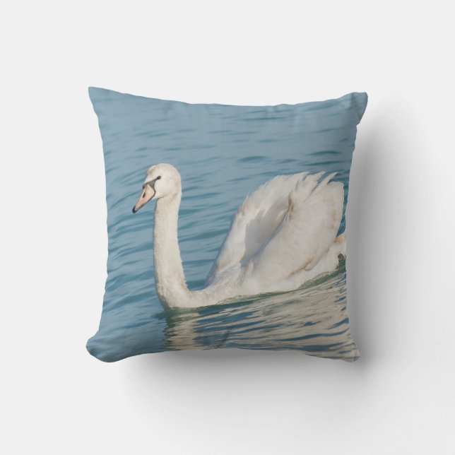 Coussin Swan (Recto)