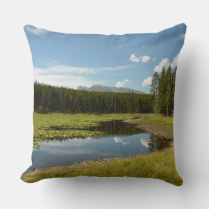 Coussin Swan Lake I au Parc national de Grand Teton